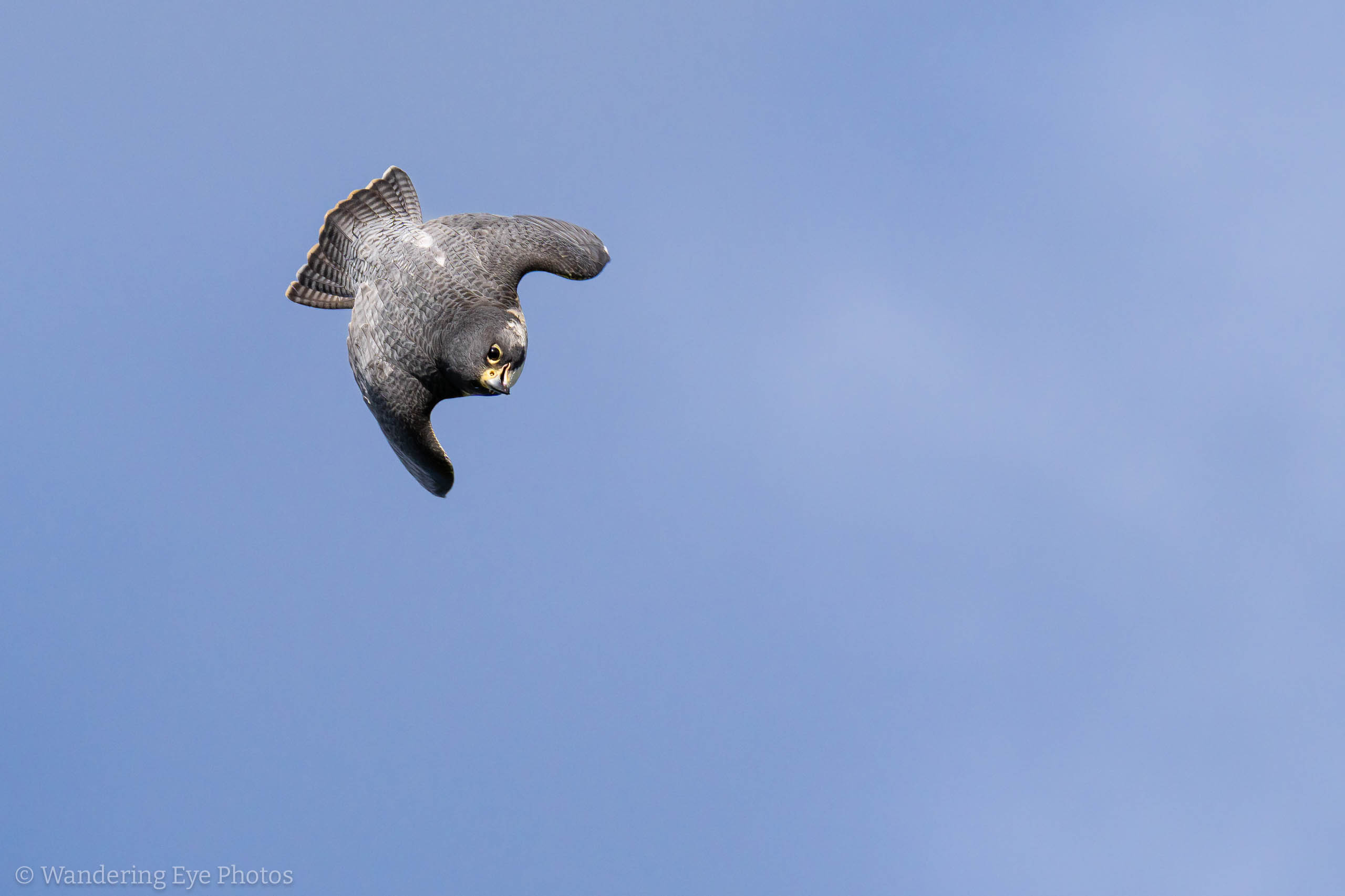 2023 08 17 16.28.04 DSC05350 Enhanced SR Edit